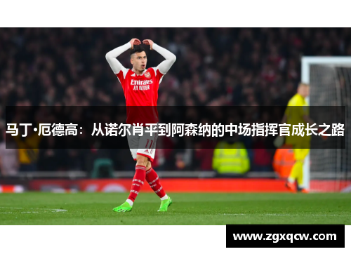 马丁·厄德高：从诺尔肖平到阿森纳的中场指挥官成长之路