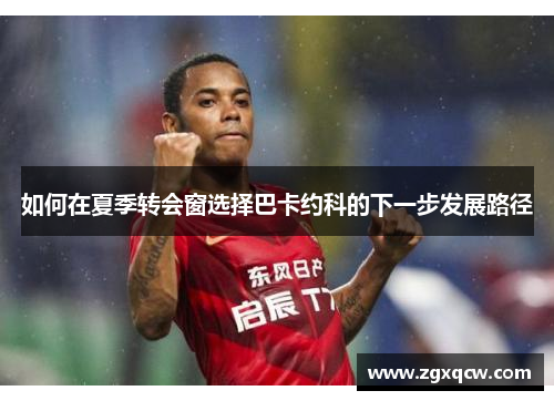 如何在夏季转会窗选择巴卡约科的下一步发展路径